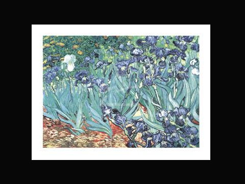 ƻseNo.051 Van Gogh 먦-餤(LF13)