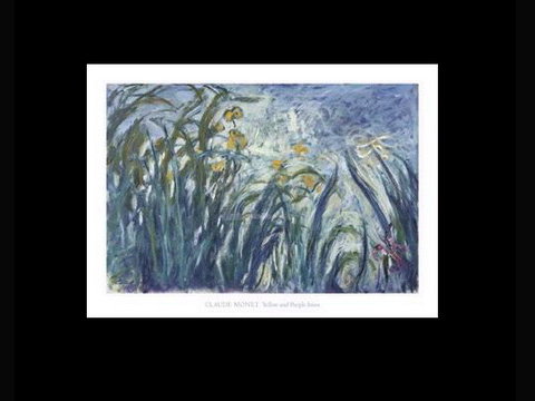 ƻseNo.039 Monet -(M1780)