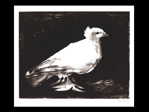 y01435dPicassoƻseLa petite colombe (serigraph)  P348